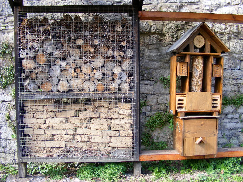 Bienen-Haus