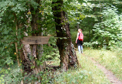 Hinweisschild zum Eibenwald
