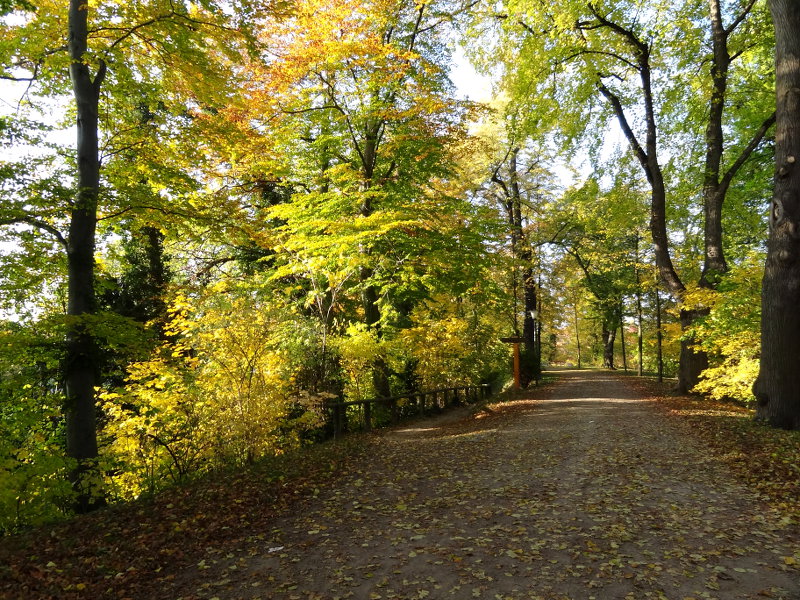 Am Wall in G�ttingen