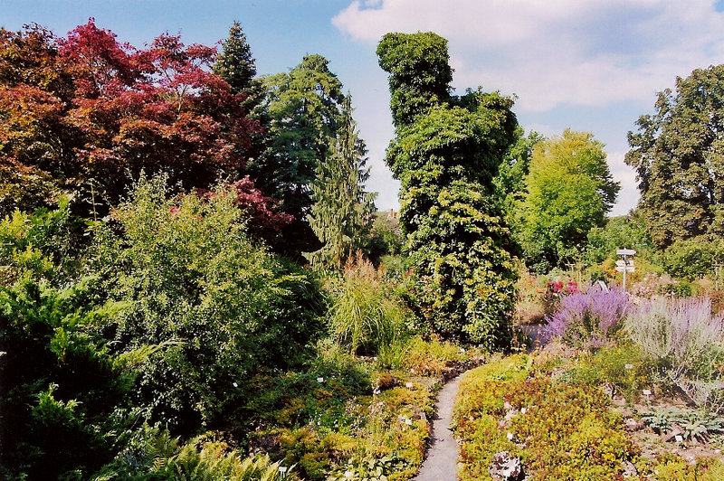 Alter Botanischer Garten in G�ttingen