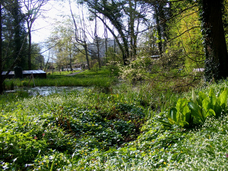 Fr�hling im Botanischen Garten