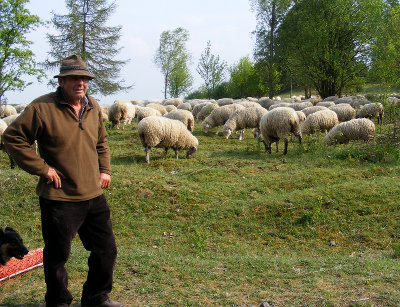 Sch�fer Willi Rudolph