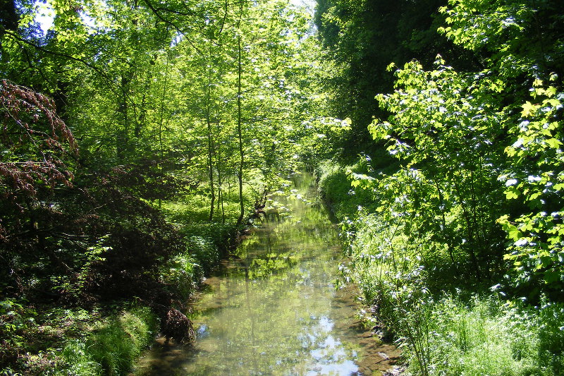 Leine Wanderweg - an der Grone