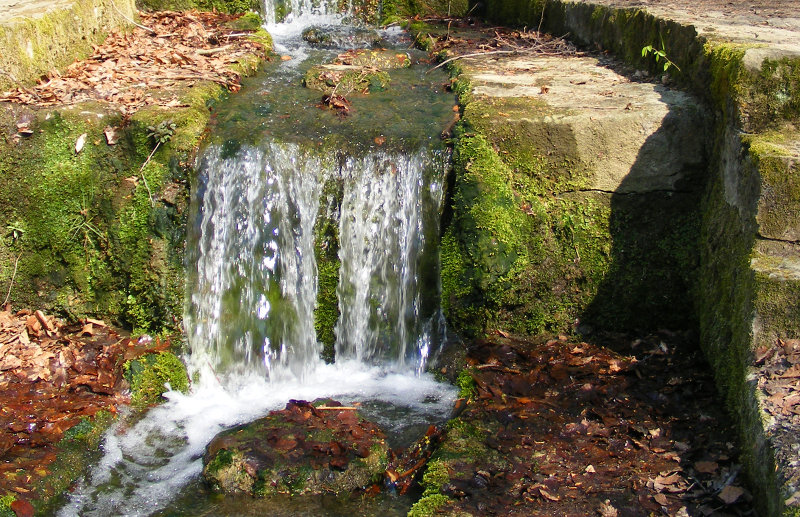 Schillerwiesen - Reinsgraben