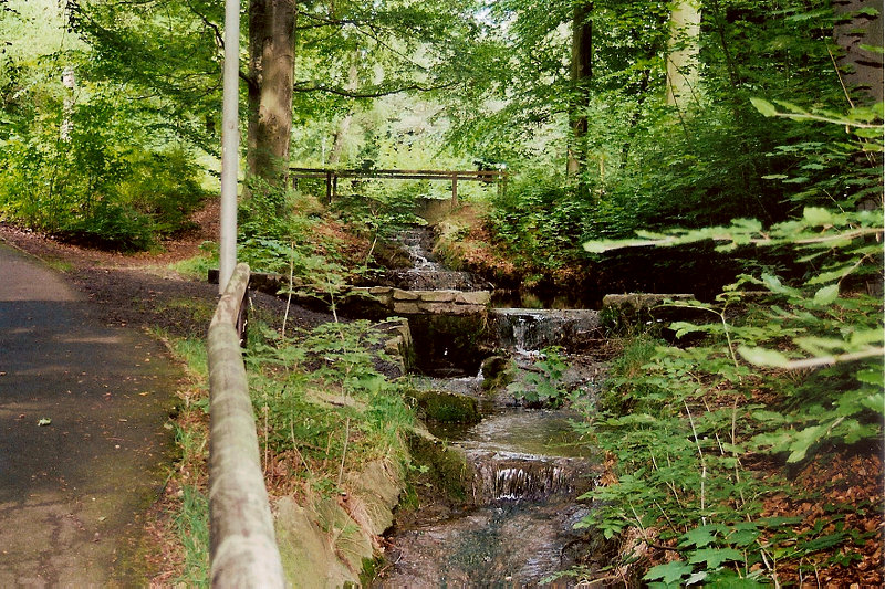 Schillerwiesen - Reinsgraben