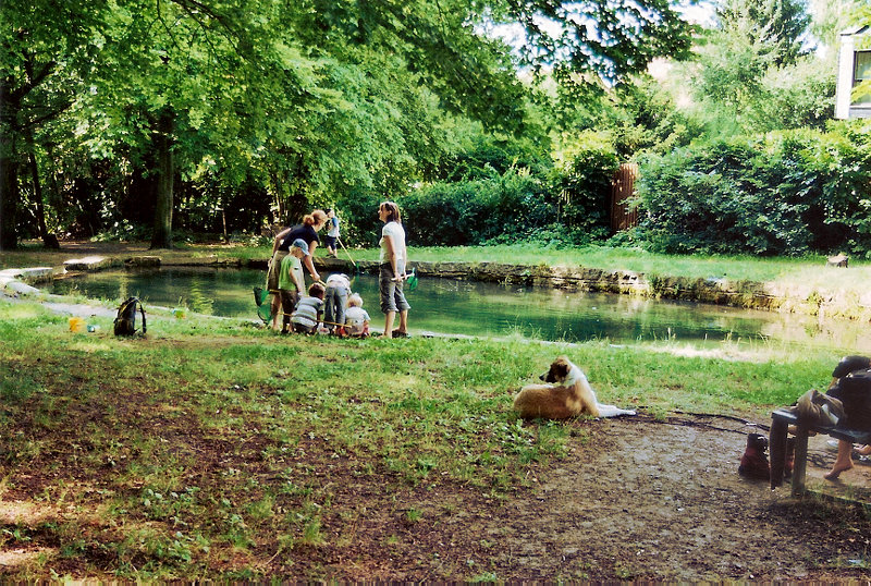 Schillerwiesen - Reinsgraben