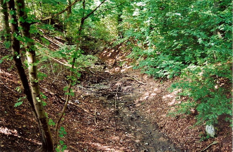 G�ttinger - Wald - Der Ebersbach