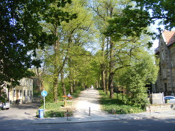 auf dem Wall in G�ttingen