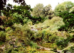 Blick in den Botanischen Garten in G�ttingen