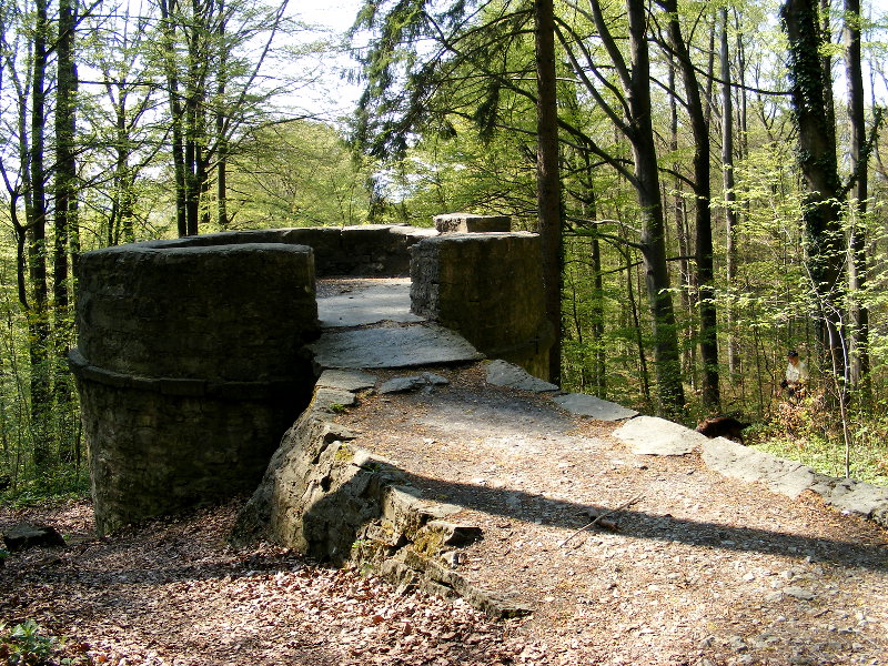 G�ttinger Wald - der Eulenturm