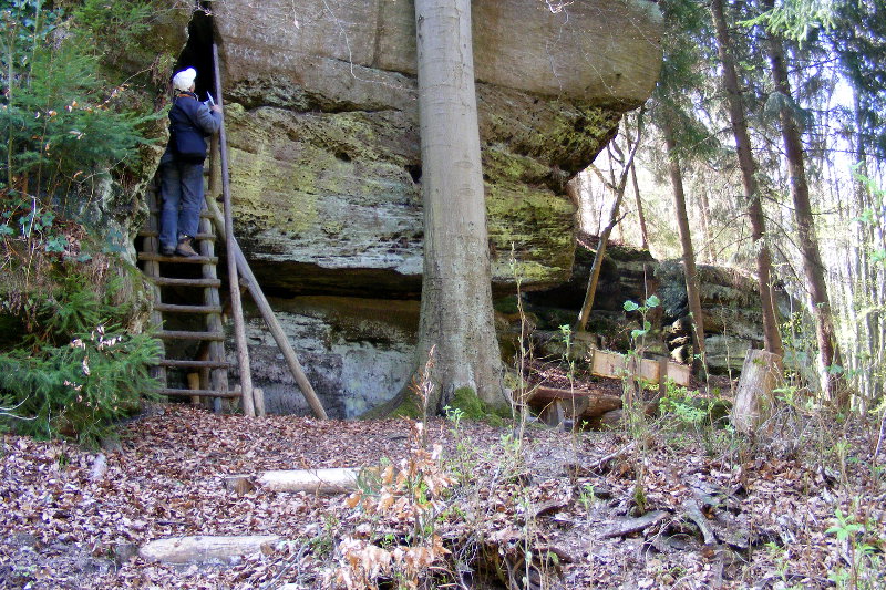 Reinh�user Wald - Hurkutstein