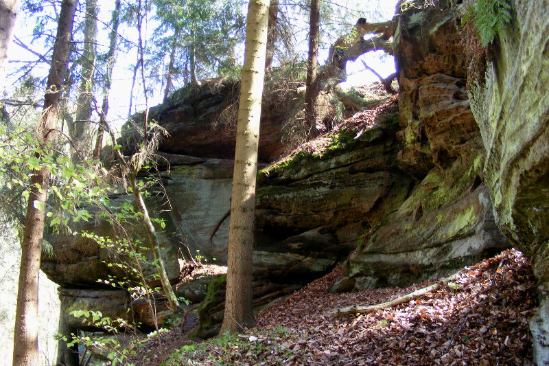 Reinh�user Wald - Hurkutstein
