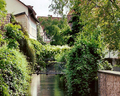 Bild - Am Leinekanal in G�ttingen