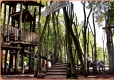 Schillerwiesen- Kletterwald in G�ttingen