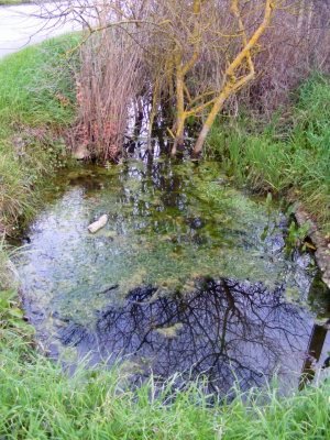 Wassergraben