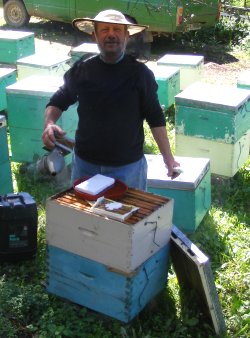 Imker füttert seine Bienen