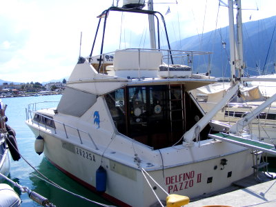 Delfino Pazzo II
