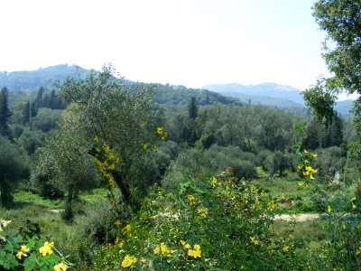 Wanderung nach Marathias