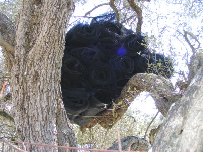 Aufbewahrungsort von Oliven-Netzen Aufbewahrungsort von Oliven-Netzen