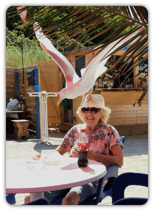 Taube stiehlt meine Bockwurst &copy; Gundula Pawel