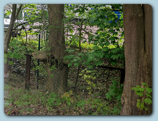 Foto: Gundula Pawel - Mai 2021 in Hamburg S�lldorf